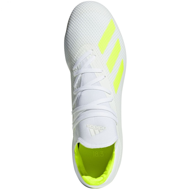 Adidas X 18.3 Fg M BB9368 jalkapallokengät valkoinen valkoinen 1