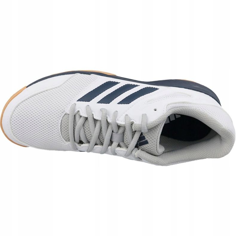 Adidas Performance Speedcourt M EF2623 kengät valkoinen 2