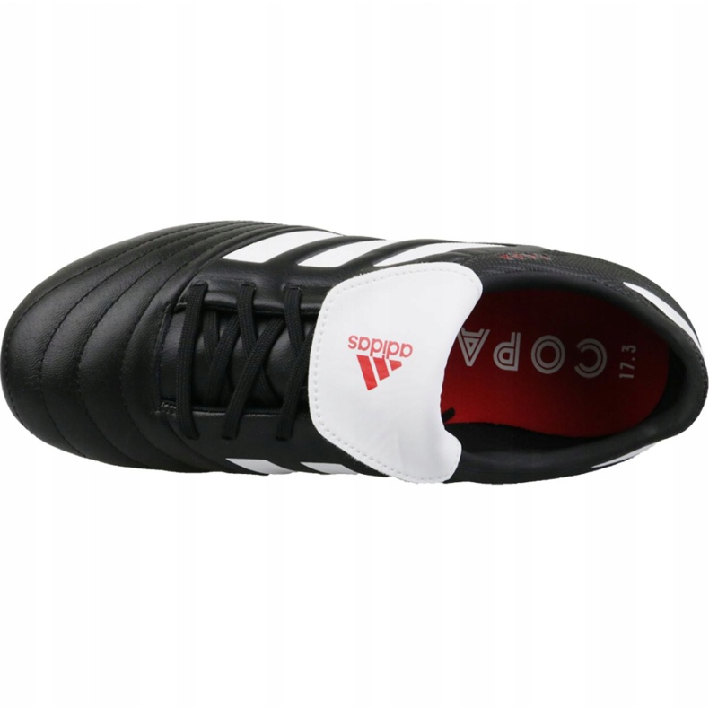 Adidas Copa 17.3 Sg M CP9717 jalkapallokengät monivärinen musta 2