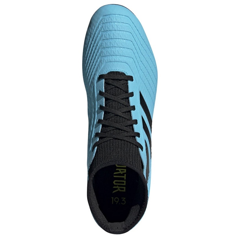 Adidas Predator 19.3 Ag M F99990 jalkapallokengät sininen sininen 2
