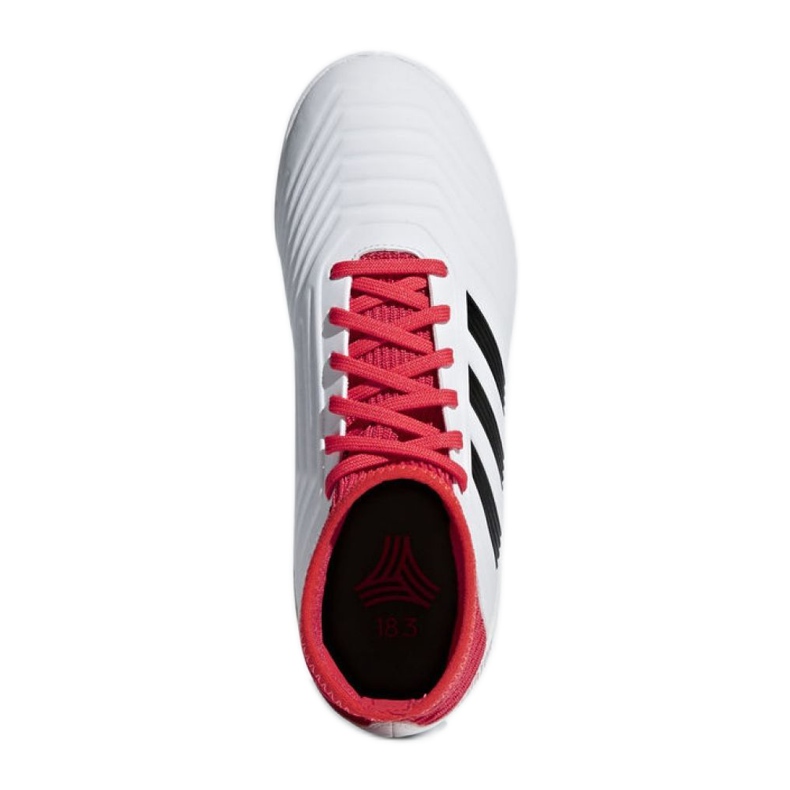 Sisäkengät adidas Predator Tango 18.3 In Jr CP9073 monivärinen valkoinen 2