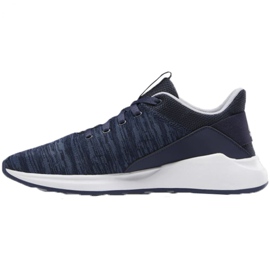 Reebok Ever Road Dm XM DV5827 kengät tummansininen 1
