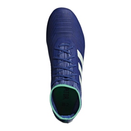 Adidas Predator 18.2 Fg M CP9293 jalkapallokengät monivärinen sininen 1