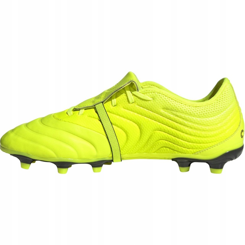 Adidas Copa Gloro 19.2 Fg M F35491 jalkapallokengät vaaleanpunainen keltainen 1