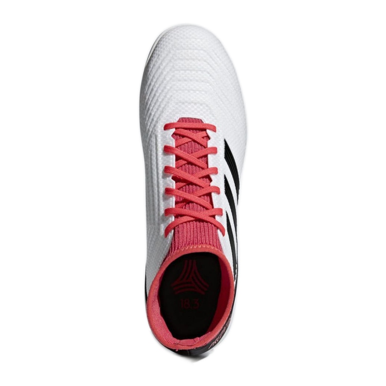 Adidas Predator Tango 18.3 Tf M CP9930 jalkapallokengät monivärinen valkoinen 2