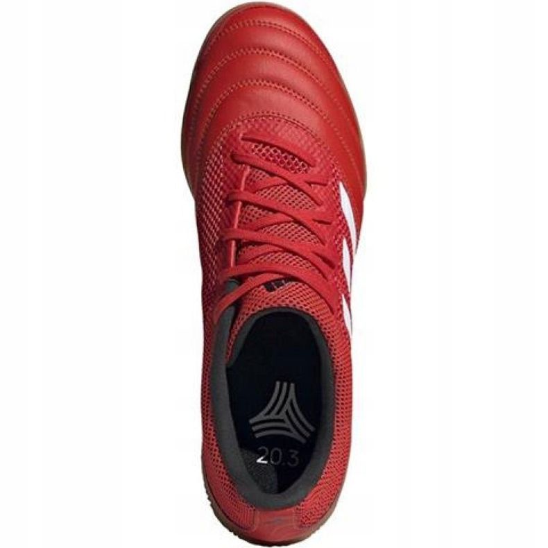 Sisäkengät adidas Copa 20.3 In Sala M G28548 punainen punainen 1