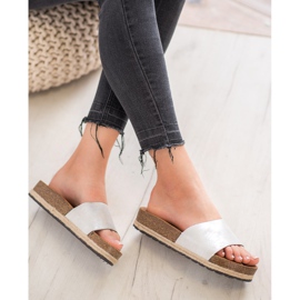 Goodin Muodikkaat hopeatossut harmaa 1