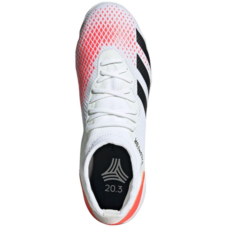 Sisäkengät adidas Predator 20.3 In M EG0916 punainen valkoinen 1