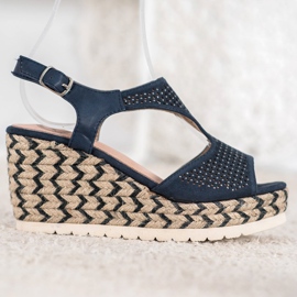 Aclys Suede Espadrilles on the Wedge sininen 2