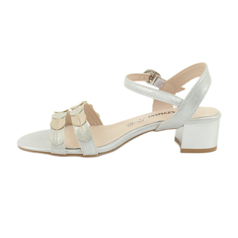 M.Daszyński Naisten sandaalit raidat Daszyński SA177-4 harmaa 1