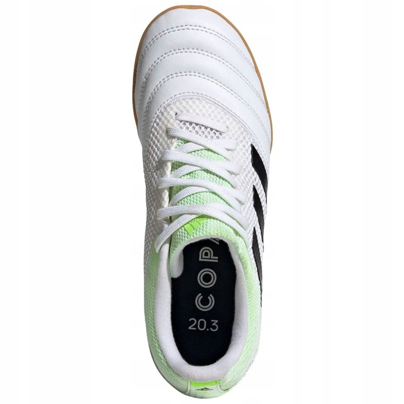 Sisäkengät adidas Copa 20.3 In Sala Jr EF1916 monivärinen valkoinen 1