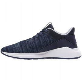 Miesten kengät Reebok Ever Road Dm X laivastonsininen DV5827 tummansininen 1