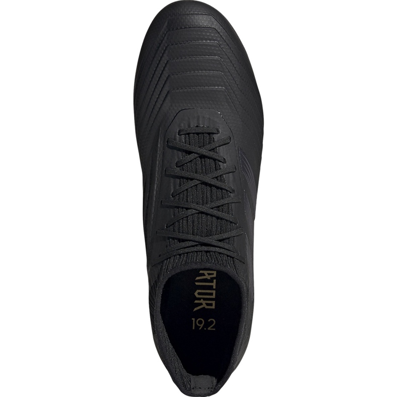 Jalkapallokengät adidas Predator 19.2 Fg musta F35603 1