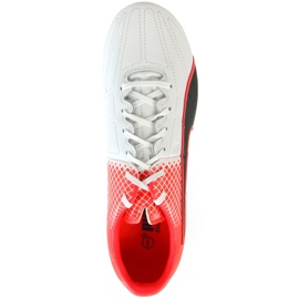 Jalkapallokengät Puma Evo Speed ​​3.5 Fg Nahka 103794 01 sininen, valkoinen, musta monivärinen 1