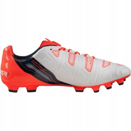 Puma Evo Power 1.2 Ag 103213 05 jalkapallokengät harmaa 1