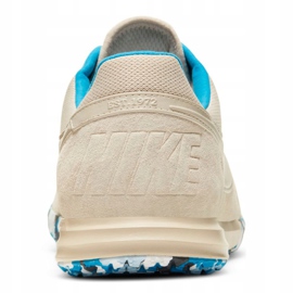 Sisäkengät Nike The Premier Ii Sala M AV3153-114 beige beige 1