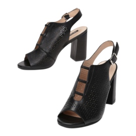 Vices 1613-38-musta 1