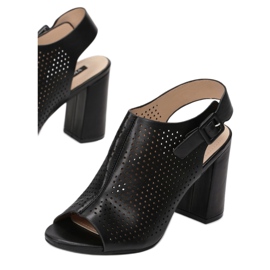 Vices 1611-38-musta 1