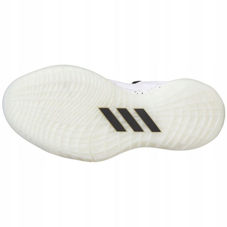 Adidas Harden Stepback 2 Jr FZ1545 koripallokengät valkoinen, valkoinen, musta valkoinen 2