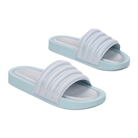 Vices 55-113-51-sininen 1