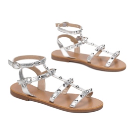 Vices 8839-301-52-hopea 1