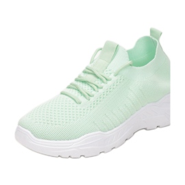 Vices CM-1070-61-vihreä 1