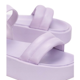 Vices 2257-66-violetti 1