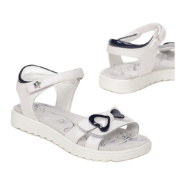 Vices B-3156-101-valkoinen / sininen 1