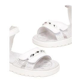 Vices T51-73-71-valkoinen 1