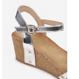 Vices FD53-52-hopea 1