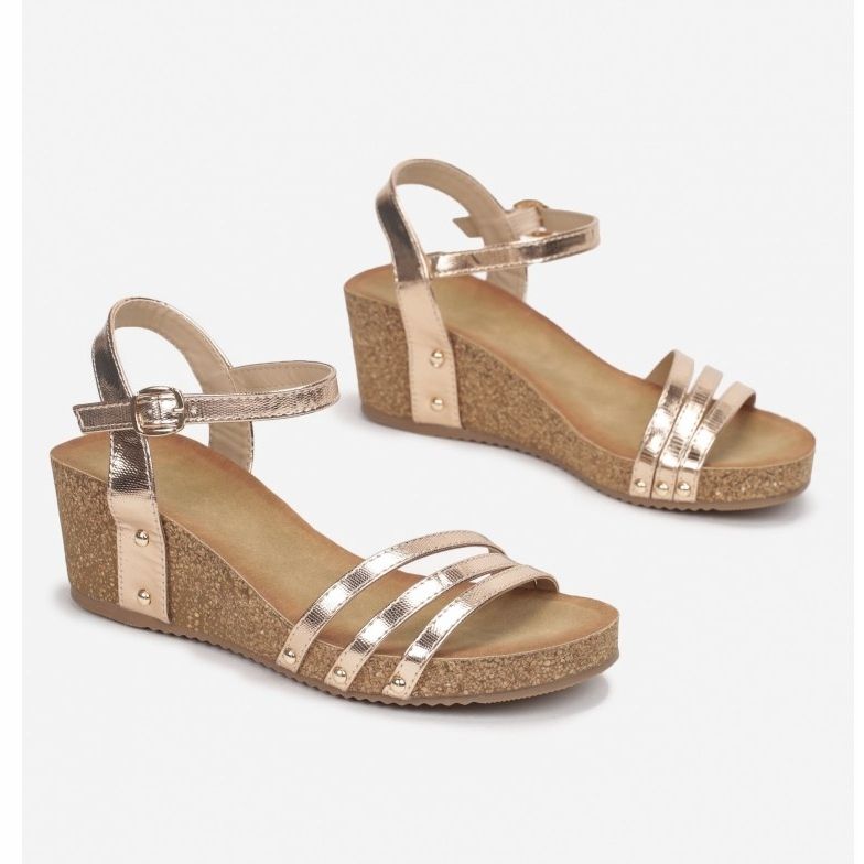 Vices FD53-449-samppanja 1