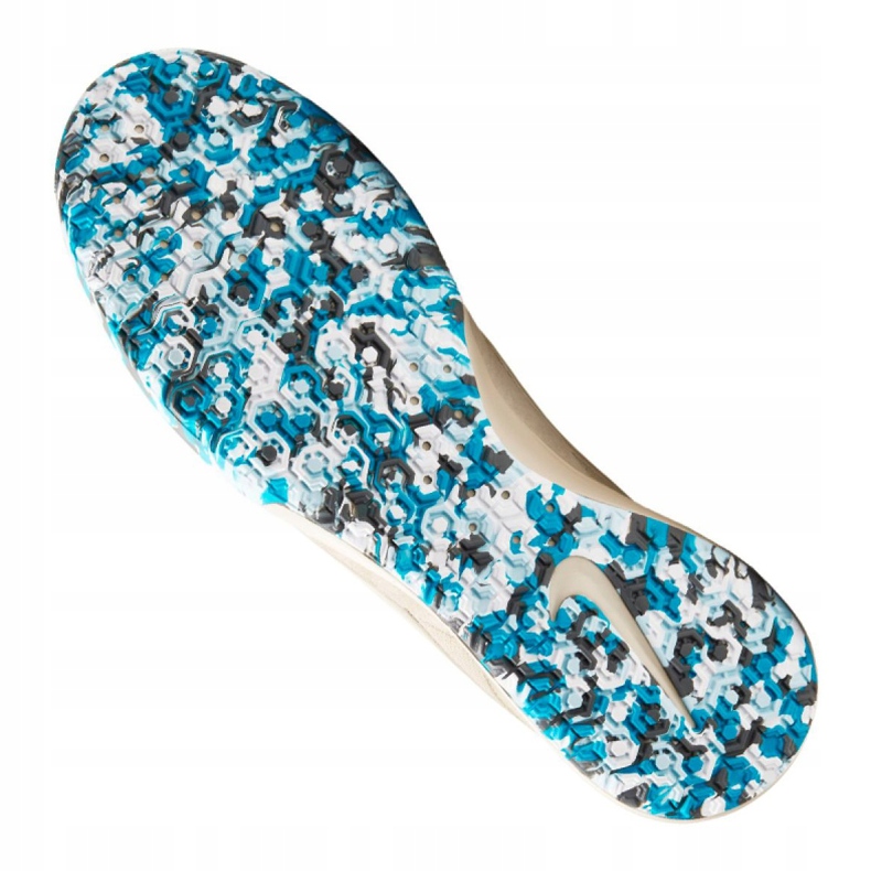 Sisäkengät Nike The Premier Ii Sala M AV3153-114 beige 1