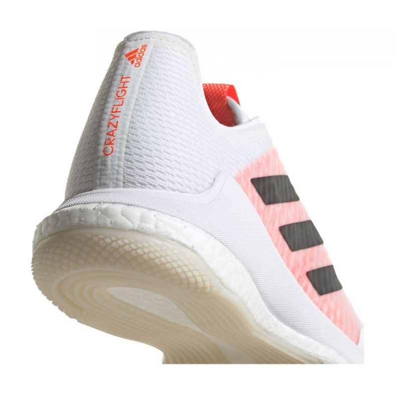 Adidas Crazyflight Tokyo M GW2321 kengät valkoinen valkoinen 2