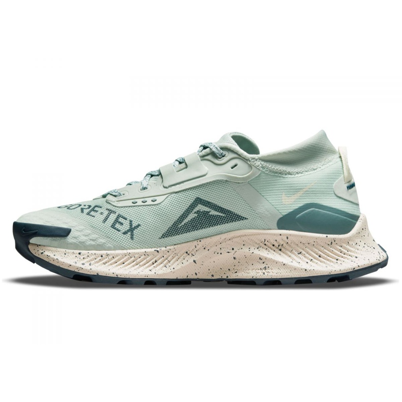Nike Pegasus Trail 3 Gtx W DC8794-003 juoksukengät vihreä 2