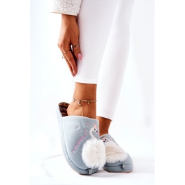 Lämpimät tossut Blue Reyn joutsen sininen 2