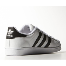 Adidas Originals Superstar M C77124 kengät valkoinen 2
