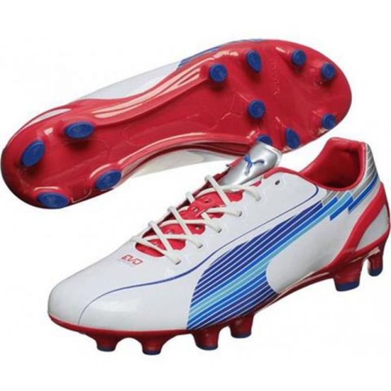 Jalkapallokengät Puma Evo Speed ​​1 Fg M 102527 01 valkoinen valkoinen 1