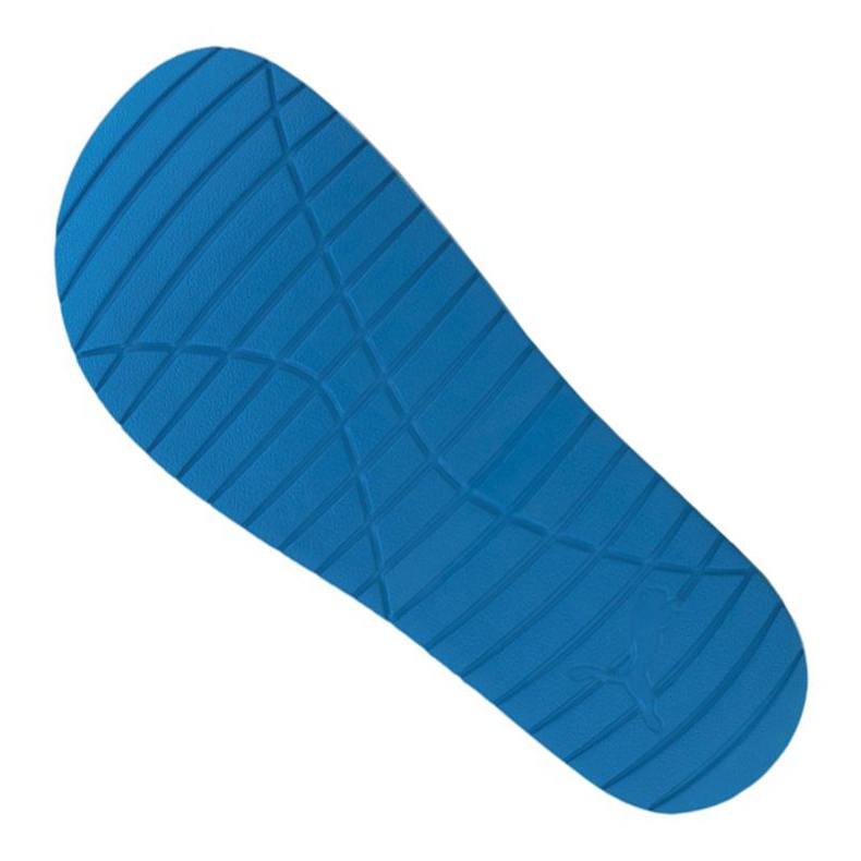 Puma Divecat v2 M 369400-15 sininen 2