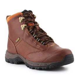 Ariat Berwick Gtx W 10016298 kengät ruskea 1