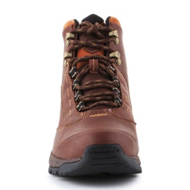 Ariat Berwick Gtx W 10016298 kengät ruskea 2