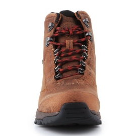 Ariat Berwick Gtx W 10016299 kengät ruskea 2