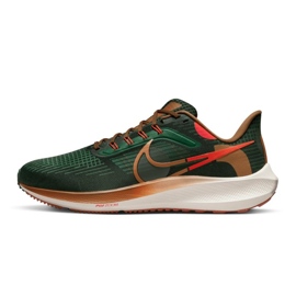 Nike Air Zoom Pegasus 39 AIR Hola Lou M DO9500-300 kenkä vihreä 1