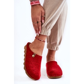 Kotitaloustossut Prophylactic Inblu DK-08-075 Red punainen 1