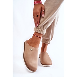 Lämpimät kotitossut Inblu CS-34-011 Beige 2