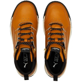 Puma Tarrenz Sb Ii M 386392 02 ruskea 1