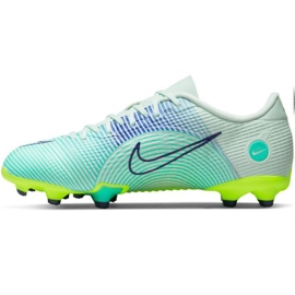 Jalkapallokengät Nike Mercurial Vapor 14 Academy Mds FG/MG Jr CV0813 375 monivärinen sininen 1