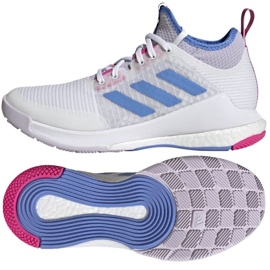Lentopallokengät Adidas CrazyFlight Mid M HQ3489 valkoinen valkoinen 1