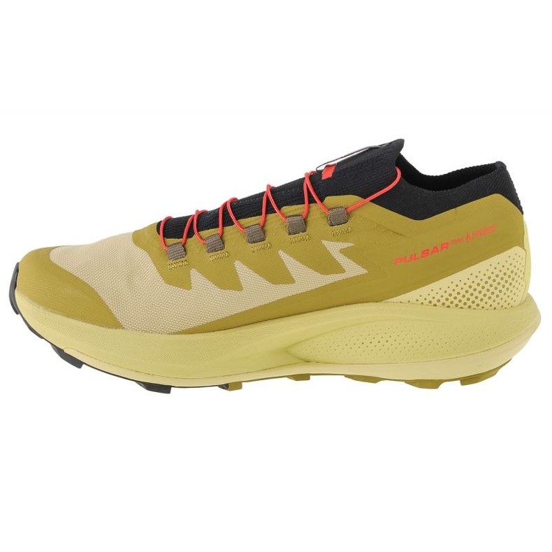Kengät Salomon Pulsar Trail-Pro M 415936 vihreä 1