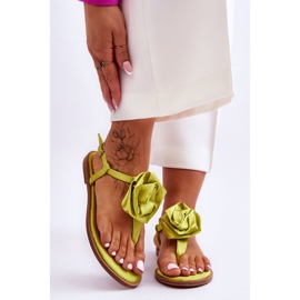 FS1 Naisten varvastossut Rose Carisma Lime -kankaasta vihreä 1